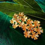 HCLVE02