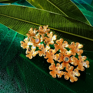 HCLVE02